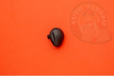 Diuza spalare parbriz, Dacia Duster